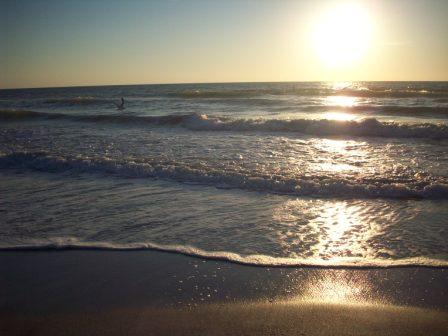 Copy of kathleen 304