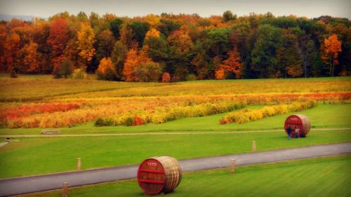 autumn-landscape-4_l