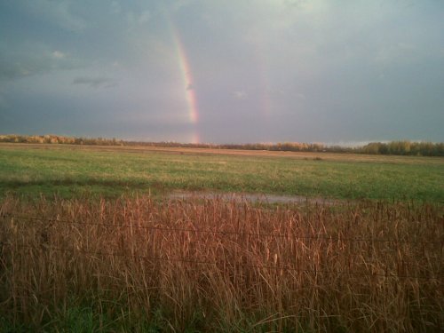 IMG01611-20121019-1754