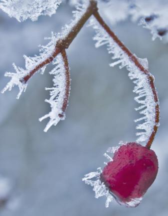 first-snow-of-winter-14-explore-185_l