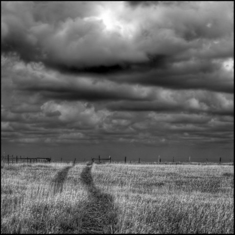storm-over-the-fenceline_l