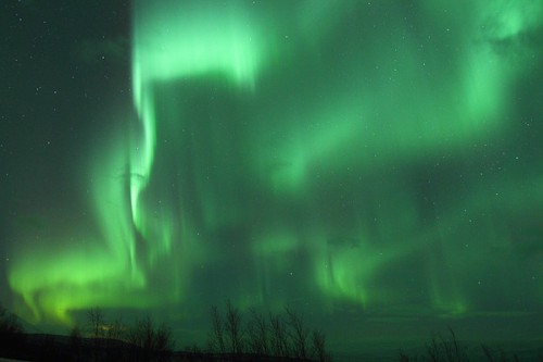 explosion-of-aurora-borealis-in-the-arctic-cirle_l