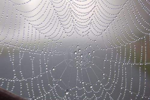 just-like-diamonds_l