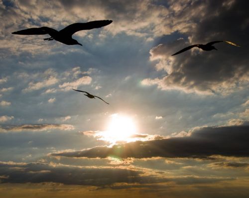 who-knows-what-tomorrow-brings_l