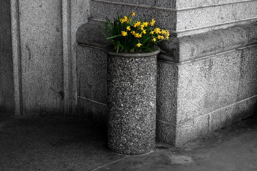 2490731321_28b34b7b64_z