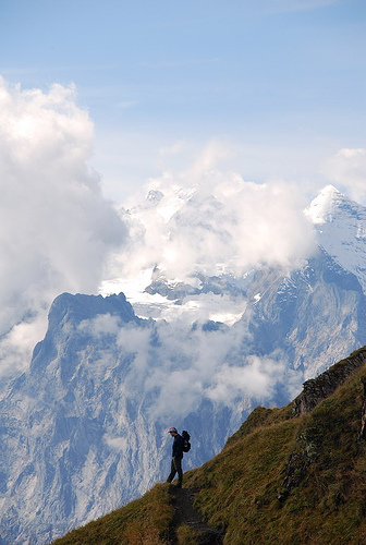 315716576_bade21baee