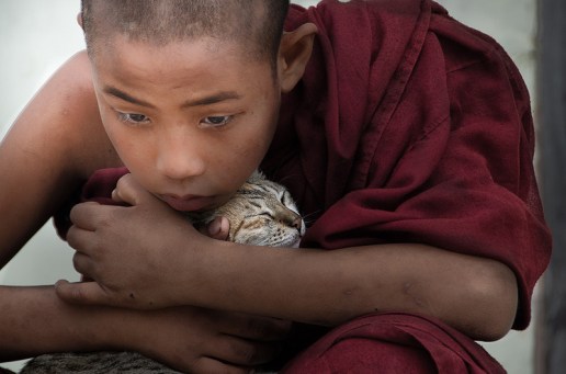 Photo credit: Elizabeth Haslam / Photo / CC BY-NC