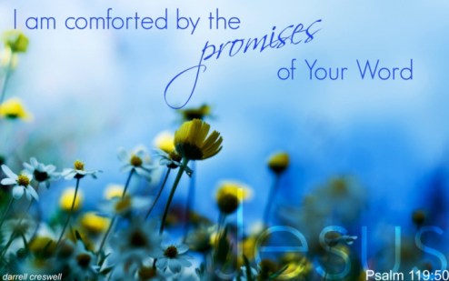 psalm-comfort-promises-god
