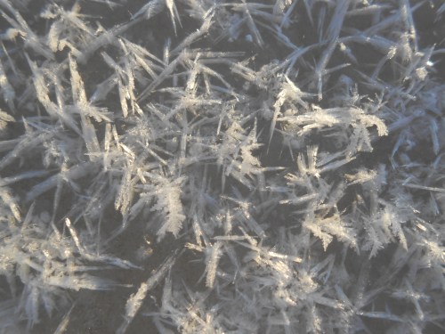 icy flakes.jpg
